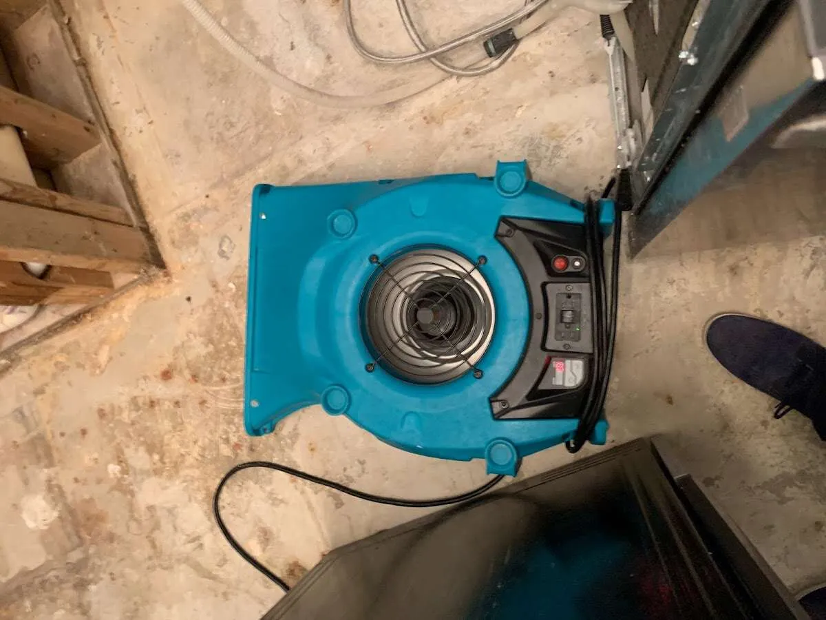Air mover drying equipment for Mold Remediation & Removal in Sayre